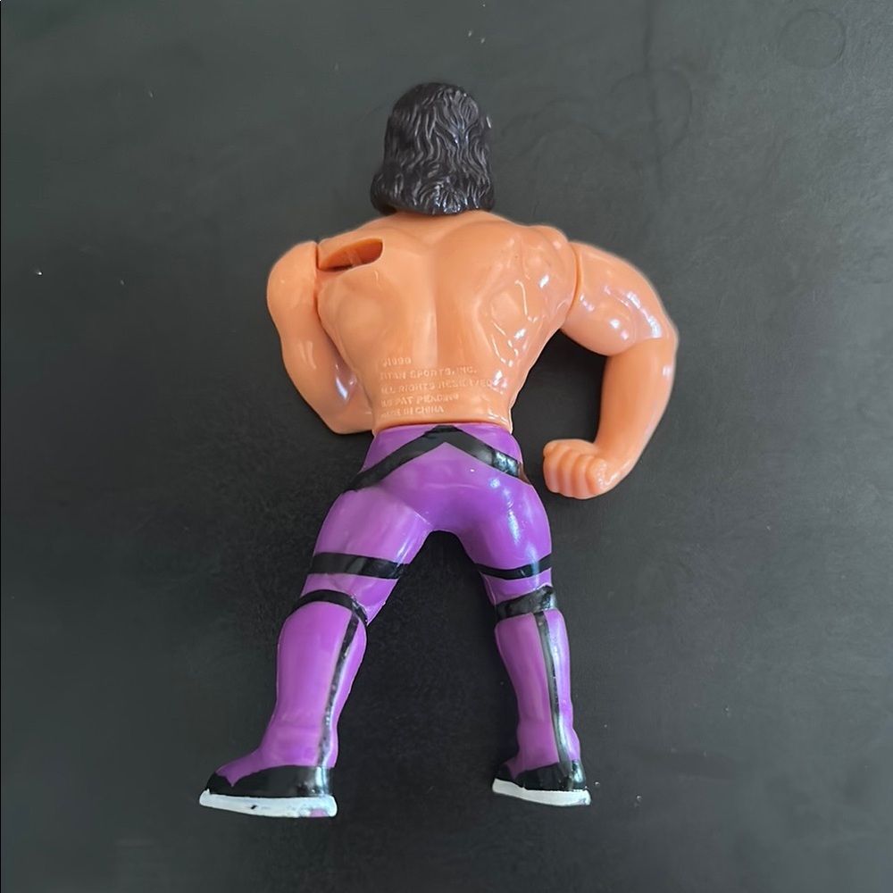 Ravishing Rick Rude - Picture 3 of 3
